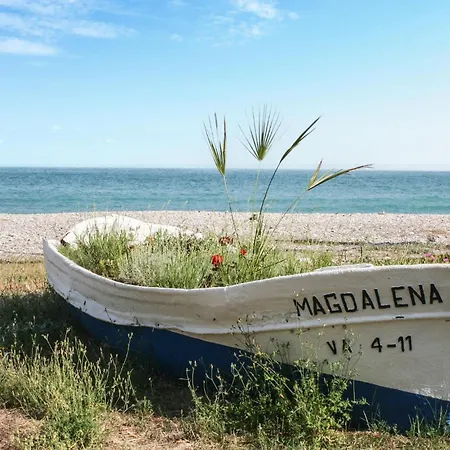 2 Bedroom Lovely In Moncofa Lejlighed *